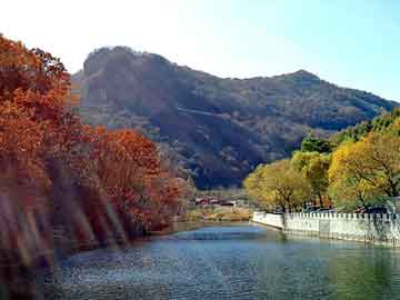 新澳天天开奖资料大全旅游团，帝国的黎明 燃文